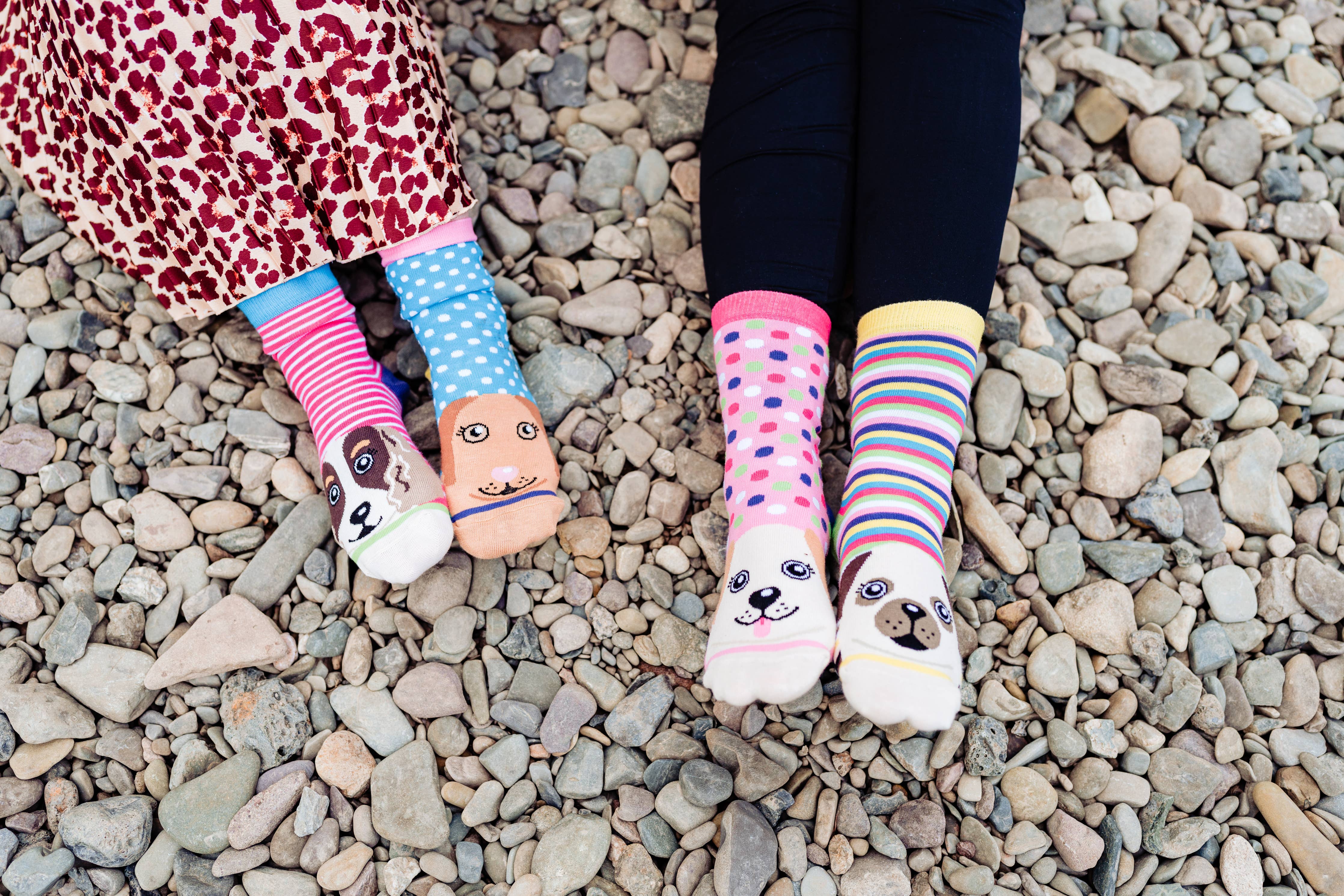 PAWSOME | Coffret cadeau de 6 chaussettes dépareillées - 37-42