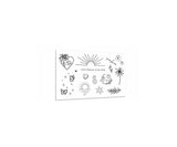 Tattoo Parure - Vivre d'amour et de soleil