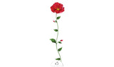 Tattoo Lovely - Bracelet coquelicot