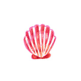 Tattoo Lovely - Coquillage