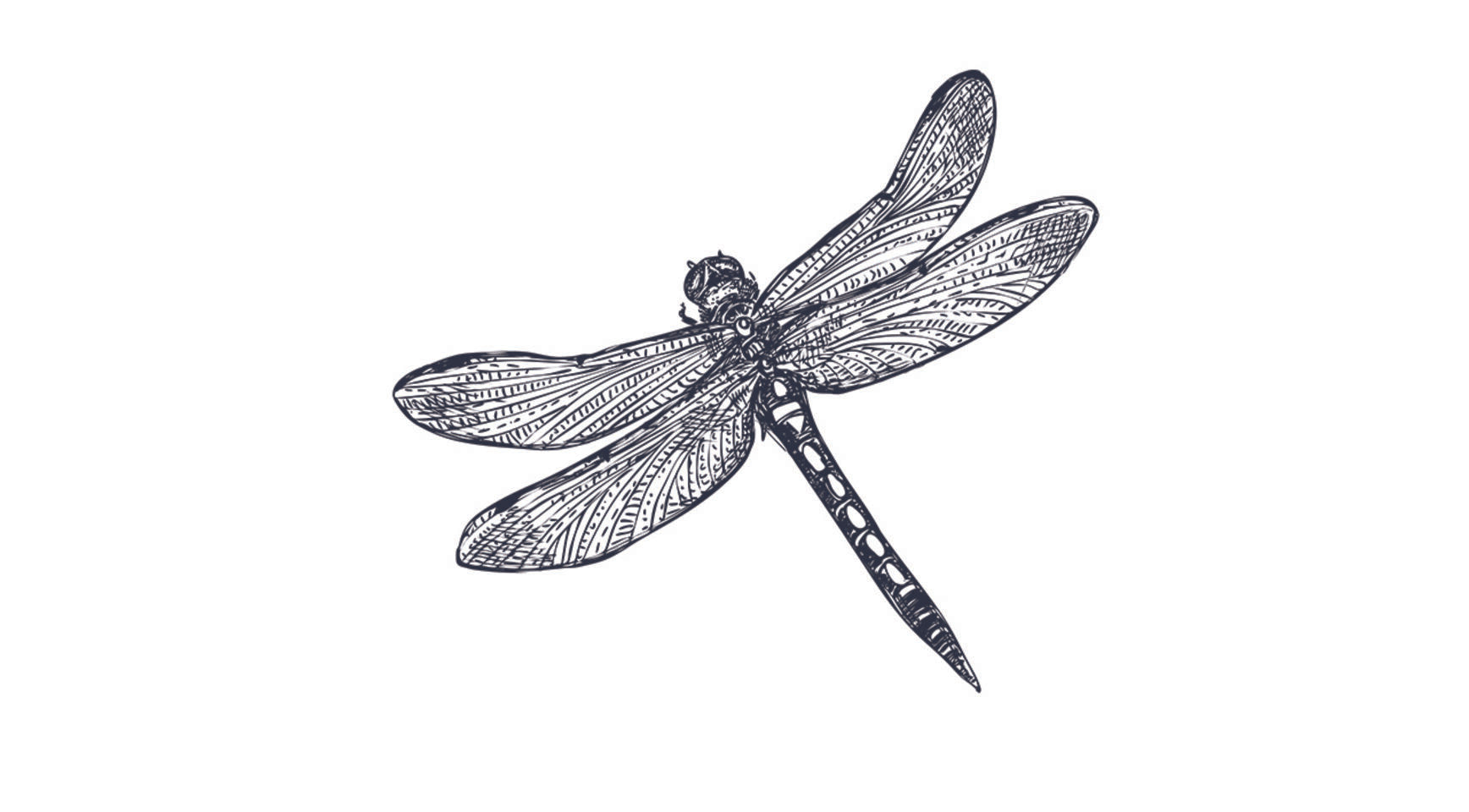 Tattoo Lovely - Libellule