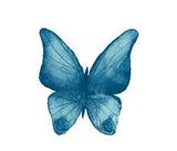 Tattoo Lovely - Papillon bleu