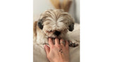 Tattoo Lovely - Pattes d'animaux