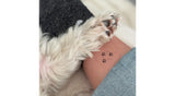 Tattoo Lovely - Pattes d'animaux