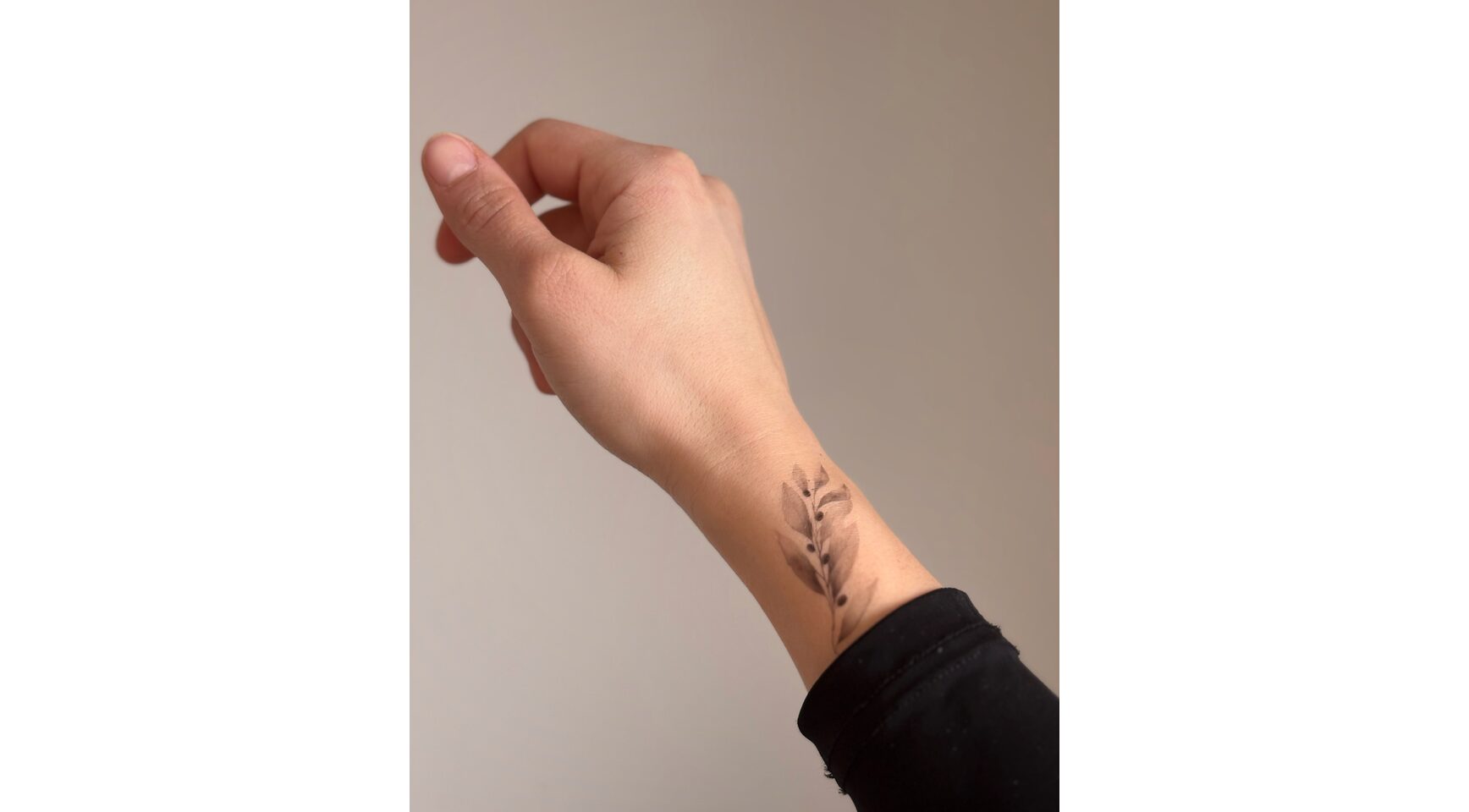 Tattoo Lovely - Rameau d'olivier